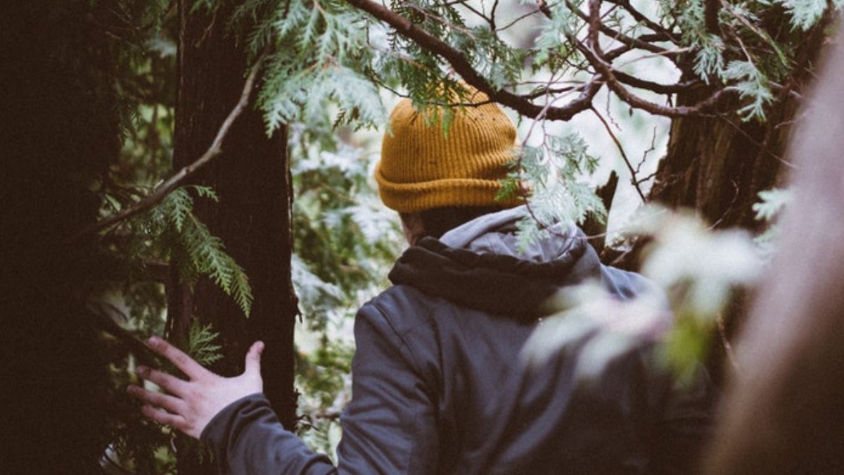 How to stay healthy this Christmas (and still have fun!)