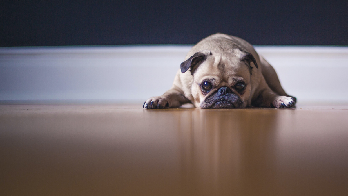Coronavirus: 5 tips to look after your mental health in a lockdown